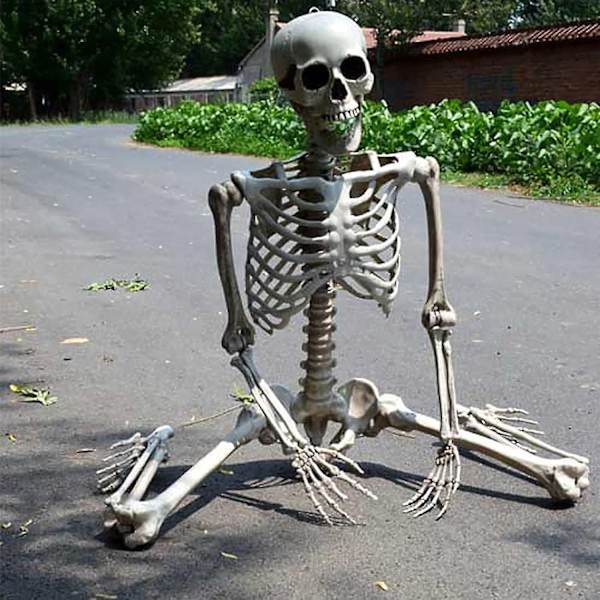 40 cm Halloween-luuranko, Täyspitkä, Liikkuvat Nivelten, Ihmisen Luut, Pelottava Halloween-luuranko Koriste Halloween-juhliin, Kummitustalo Tarvikkeet -Xin 40 cm