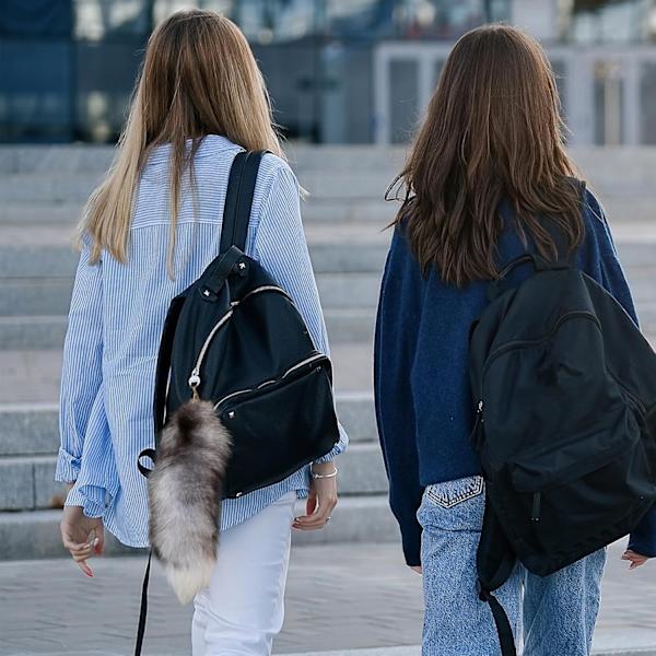 Falsk rævehale, 40 cm dyrehale, fluffy kunstig pels hale, realistisk rævehale, nøglering, pung dekoration rævehale, rollespil, sølv-Xin