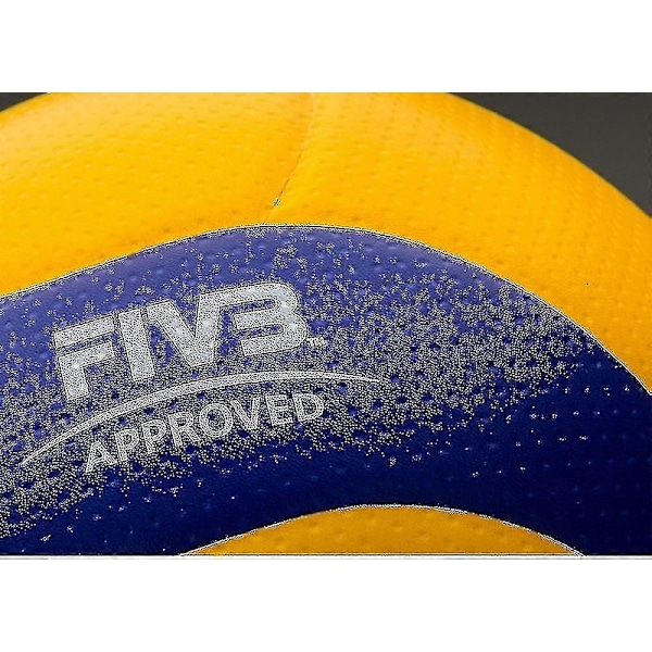 Volleyball V200w Game-Xin
