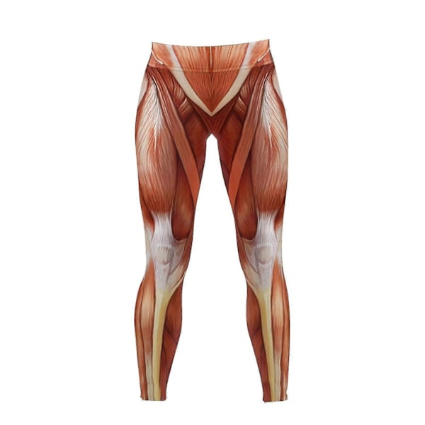 Högmidjade Tights för Kvinnor Anatomiska Muskeltights Muskeltryckta Fitnessbyxor Tjejer Pilates Tights Vår Kvinnor-Xin 4XL