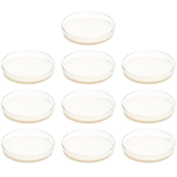 10 förhällda agarplattor petriskålar med agarvetenskapliga experimenttillbehör-Xin