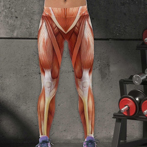 Högmidjade leggings för kvinnor Anatomiska muskelleggings Muskeltryckta träningsbyxor Leggings för flickor Pilates Vår Kvinnor-xindaren 4XL