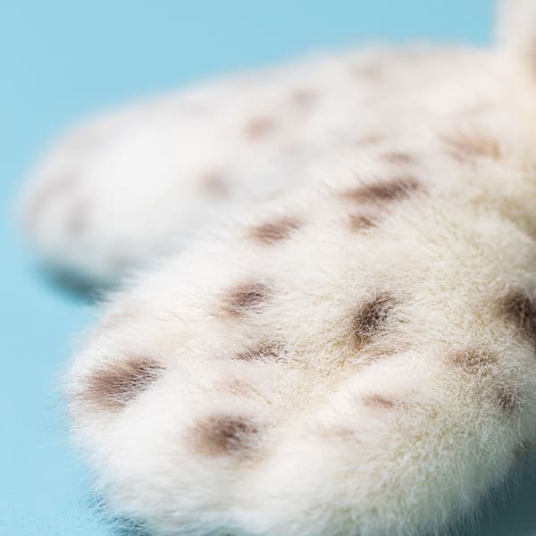 Jellycat Galumphous Seal Plush Series pehmolelu