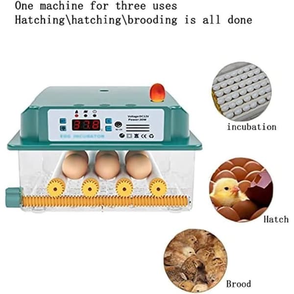 Profesjonell automatisk egginkubator med automatisk eggvendingsenhet - for 15 egg - c26