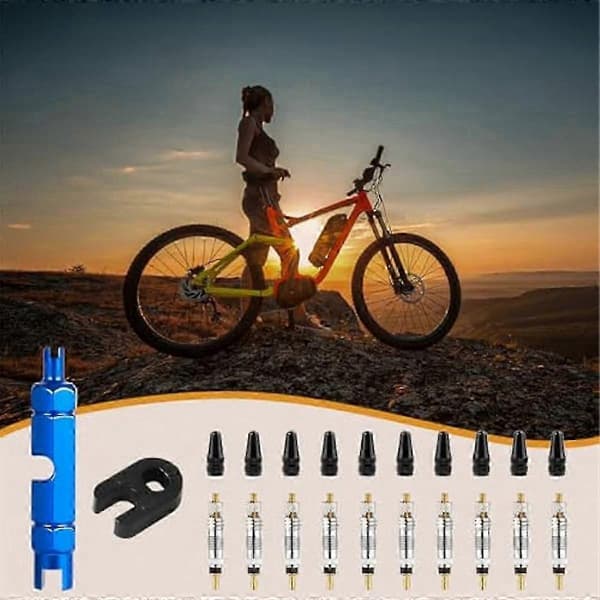 10-pack Presta ventilkärnbytesats för cykeldäck Edition 0820 5 5