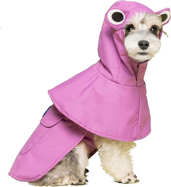 Koiran sadetakki hupulla, söpö lemmikkiponcho