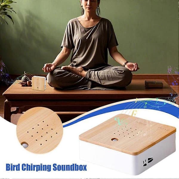 Bird Chirping Sound Box Motion Sensor Singing Bird Box-FS-
