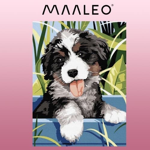 Målning efter siffror 40x30cm - Maaleo dog 22780 335