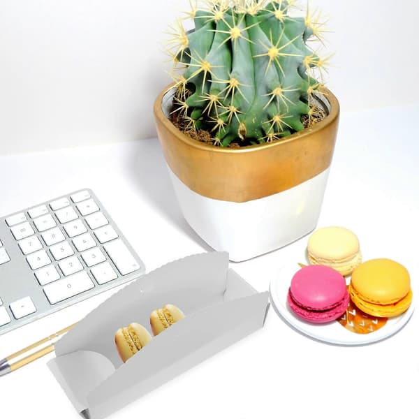 Macaron presentförpackning för förvaring med 20 st 4-håls tranbärskaksbehållare