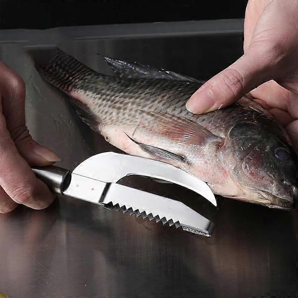 Fiskeskælsmaskine, rustfrit stål