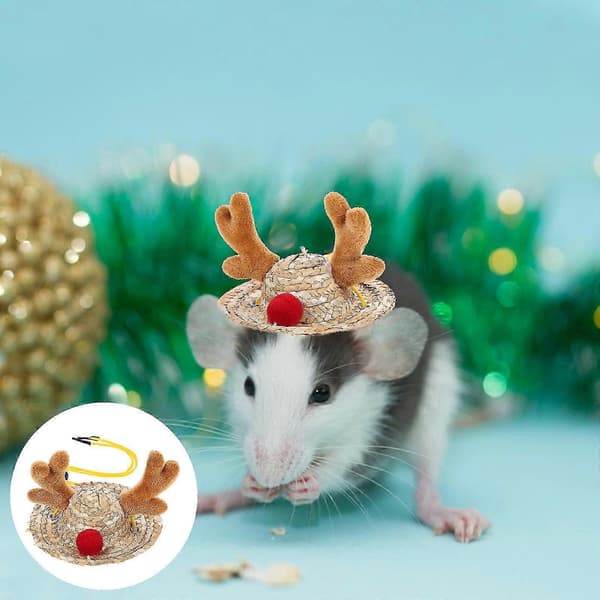 Hamster Nydelig Lue Liten Elg Tema Lue til Jul