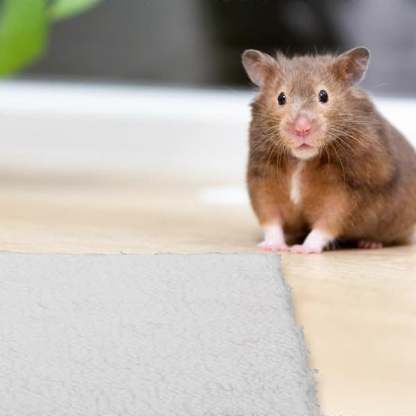 Fågelbo-dyna för varm 4-pack hamster slitstark vinterbädd