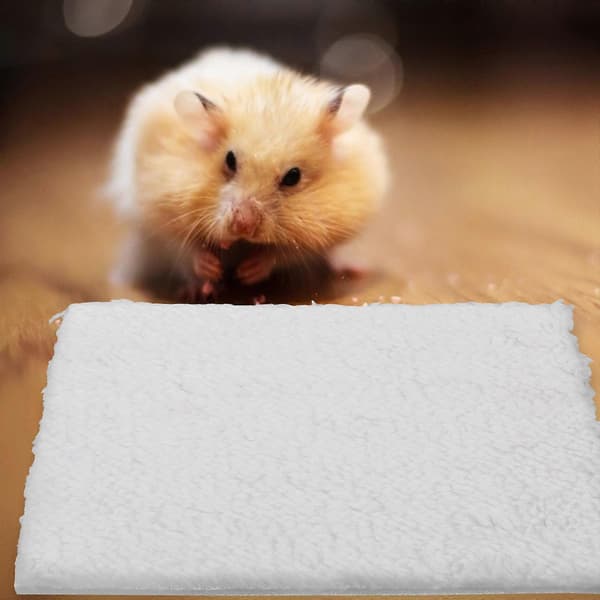 Fågelbo-dyna för varm 4-pack hamster slitstark vinterbädd