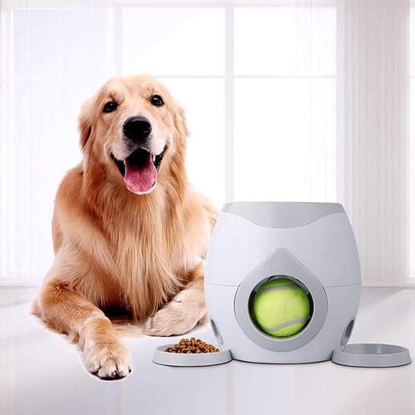 Hundeboldkaster, automatisk tennisboldkaster til hunde (farve: grå)