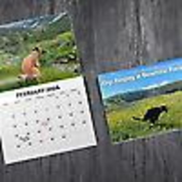 Kalender 2024 Hundebæsj-kalender