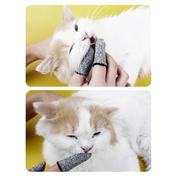 2 st husdjurstandborstning fingeröverdrag set