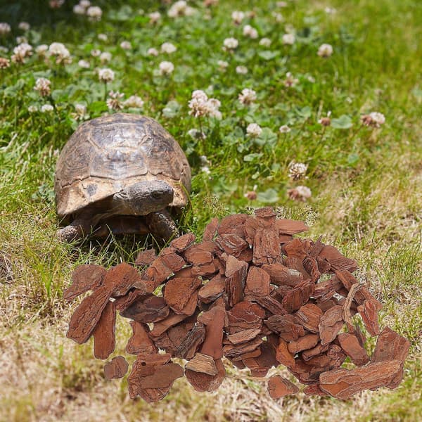 Krybdyr Bark Bundlag Træbark Chips Indretning til Akvarium 1 Pose Mørkebrun