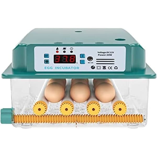 Profesjonell automatisk egginkubator med automatisk eggvendingsenhet - for 15 egg - c26
