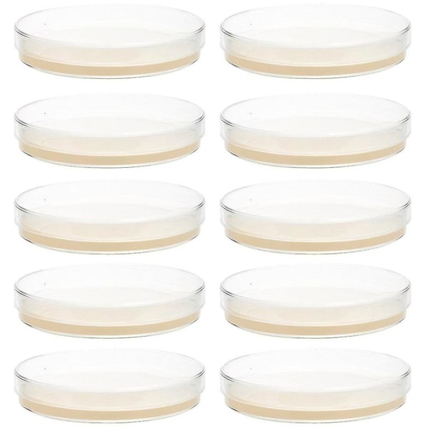 10 stk ferdige agarplater petriskåler med agarvitenskapseksperimentutstyr