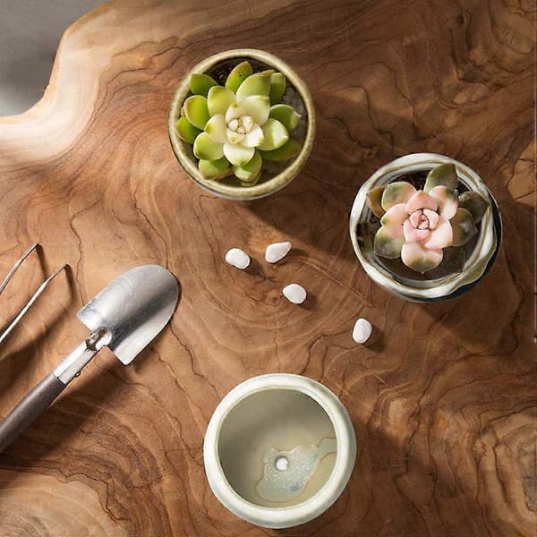Mini keramisk urtepotte til sukkulenter, 6 stk. assorterede