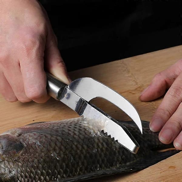 Fiskeskælsmaskine, rustfrit stål