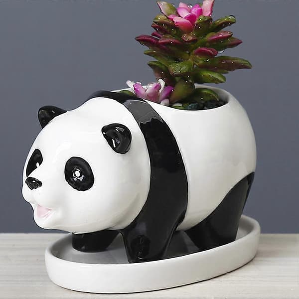 Djurformad keramisk panda-blomkruka för suckulenter med fat