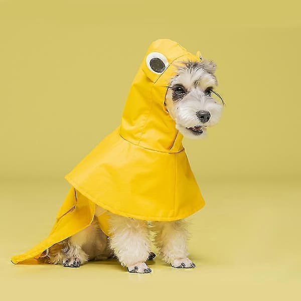 Koiran sadetakki hupulla, söpö lemmikkiponcho