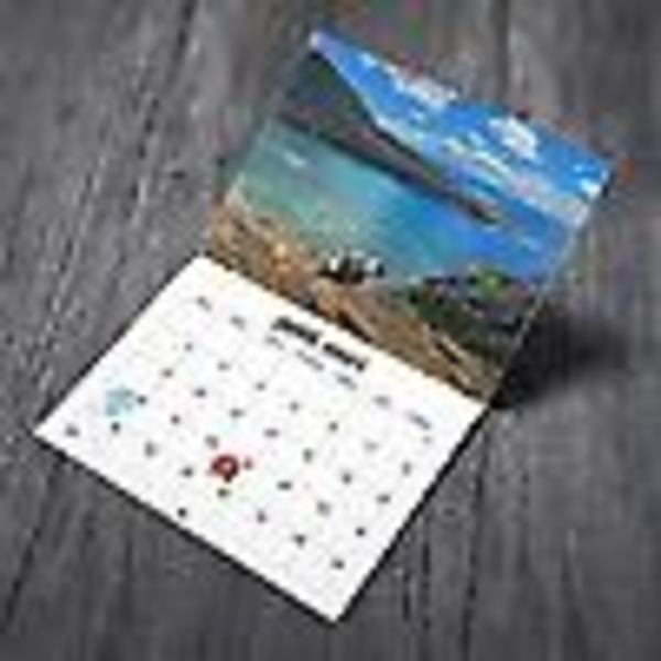 Kalender 2024 Hundebæsj-kalender
