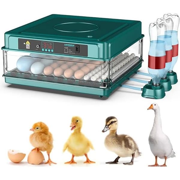 Profesjonell automatisk egginkubator med automatisk eggvendingsenhet - for 15 egg - c26