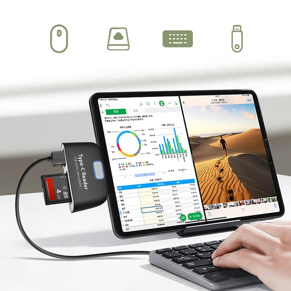 USB-C til USB og mikro USB-adapter, SD- og mikro SD-kortlæser Black