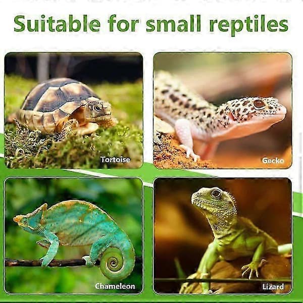 Reptilmatsskål, rund plast 2-pack, dricksskål
