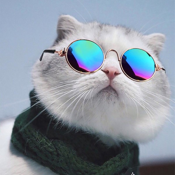 1 stk. Kreative kæledyrsbriller, til at tage billeder af små hunde og katte, små solbriller, kæledyrstilbehør, sjove briller