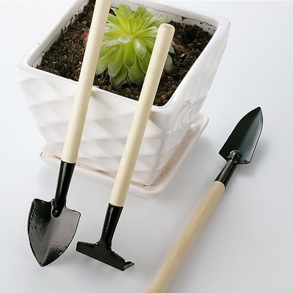3 Dele Blomsterhavearbejde Sæt Miniature Havearbejde Rive Skovl og Spade Sukkulent Planter Værktøj til Indendørs Miniature Have