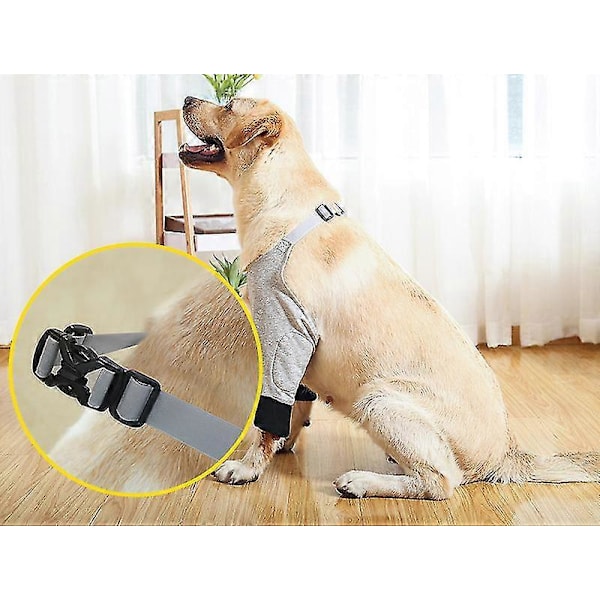 Hund Främre Benstöd Hund Armbågsskydd Stödremmar För Läkning Skyddar Mot Skador Och Vrickningar Grey L