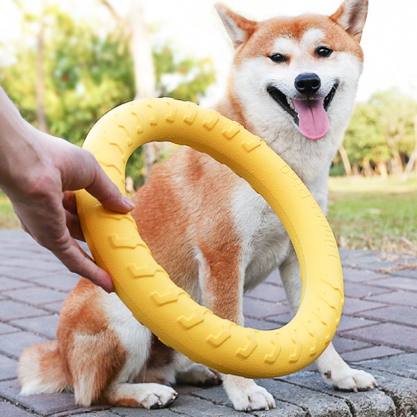 Fitness Ring til Små Hunde - Bid Ring, Træningsring, Kæledyrs Hund