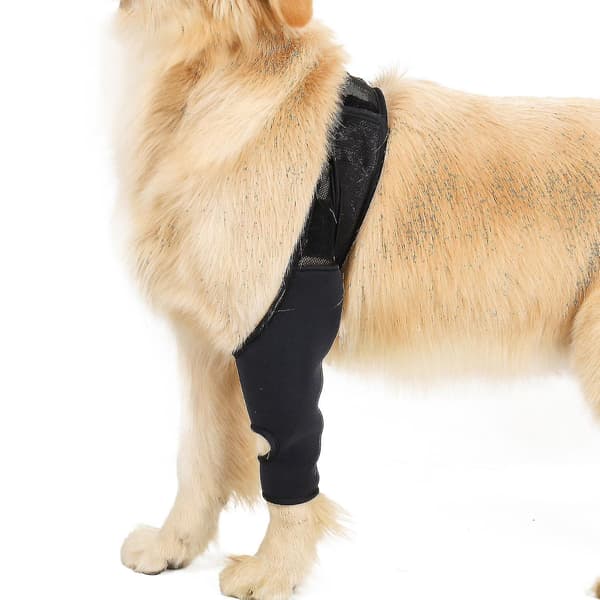 Hund Återhämtningsärm Främre Bakre Benstöd Stöd För Skada Vrickning Lindra Smärta Medium