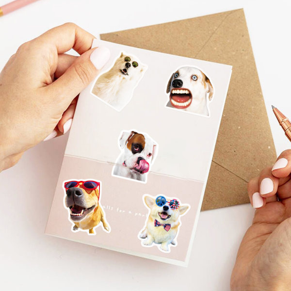 200pcs Dog Animal Stickers for Kids Nursery Decor Peel and