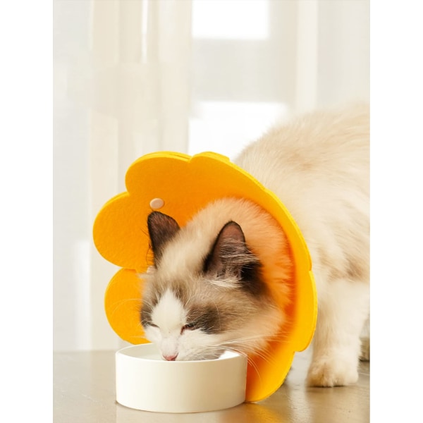 Flower-shaped cat cone collar adjustable light and soft