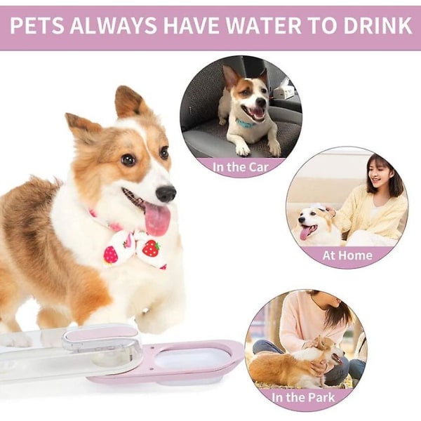 Sininen koiran vesipullo, kannettava kokoontaitettava vesilähdekuppi vuotamattomalla vesikulhon annostelijalla kissalle/kanille/pennulle ulkoilua, vaellusta, matkaa varten