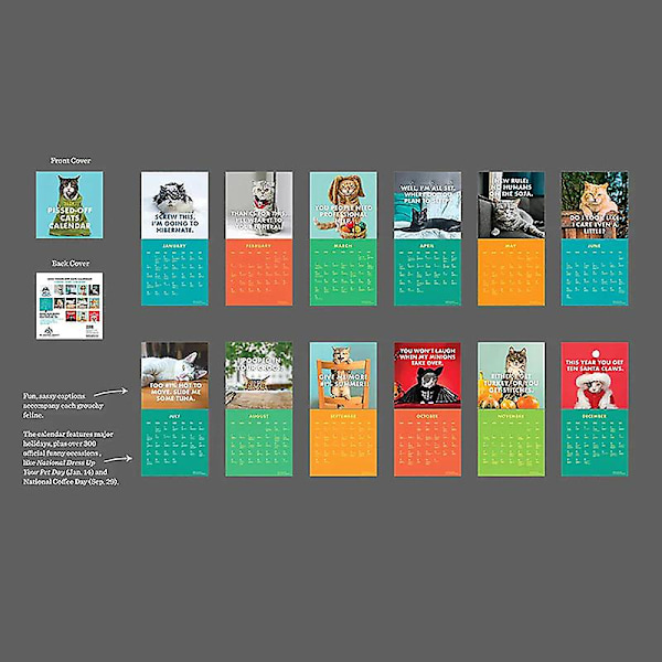 2024 Vihaisen Kissan Kalenteri - Hauska Seinätaidekalenteri - Äreät Kissat