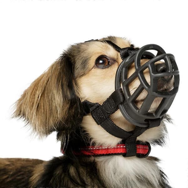 Baskerville Ultra Hundemundkurv 6