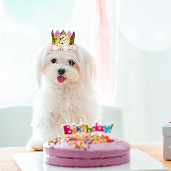 Birthday Crown Kid Glitter Party Hattar med Numbers Hat för