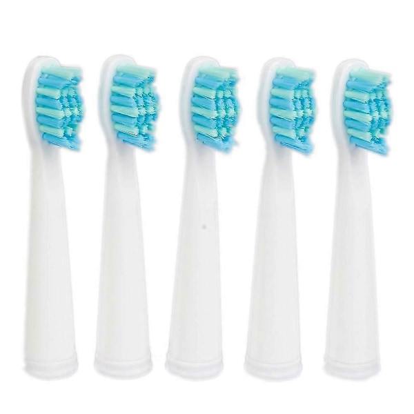 5 kpl/setti Seago-hammasharjan pää Seago SG610 SG908 SG917 910 507 515 949 958 -hammasharjaan, sähköinen vaihtopää g20242046463 white