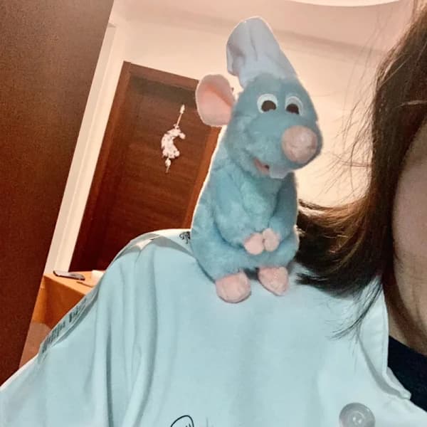 15 cm Ratatouille-pehmolelu Remy-pehmoleluhahmo, TH
