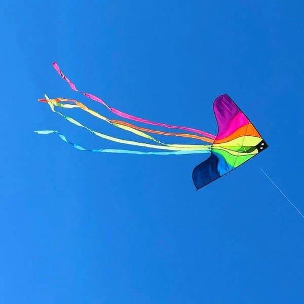Suuri, kestävä ja kevyt Delta-leija Colorful Phoenix 2 m