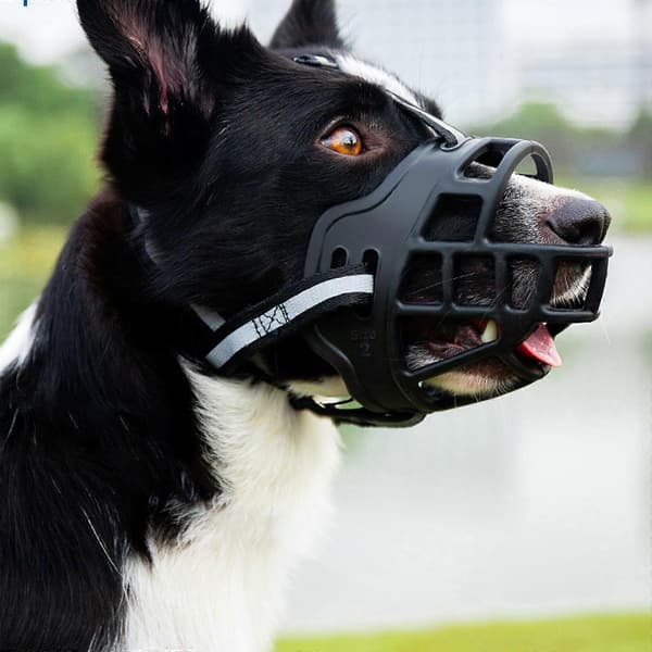 Bekväm, ventilerande och hållbar hundmunkorg[J]