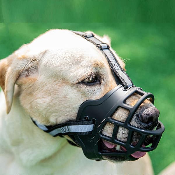 Bekväm, ventilerande och hållbar hundmunkorg[J]