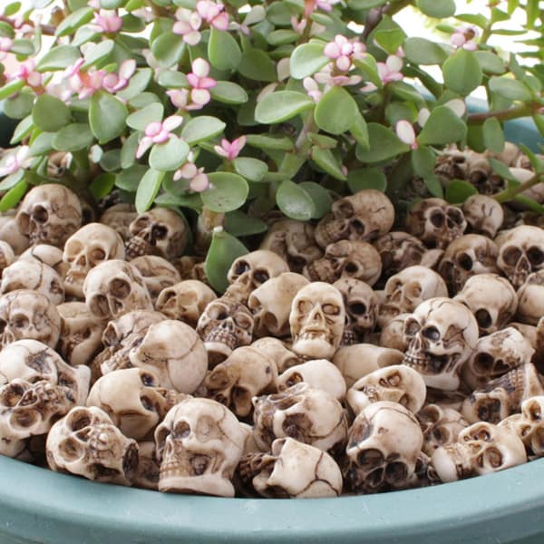Gotisk skjeletthode-dekorasjon – Miniatyr samlefigur for Halloween-dekor (J)