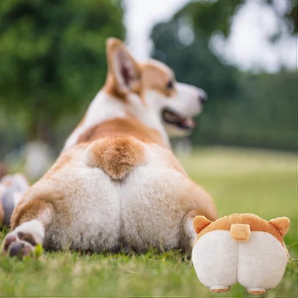 Corgi hoftepute, søtt dyreutseende, kan brukes som pute, sofapute og andre formål, bursdagsgave[J]