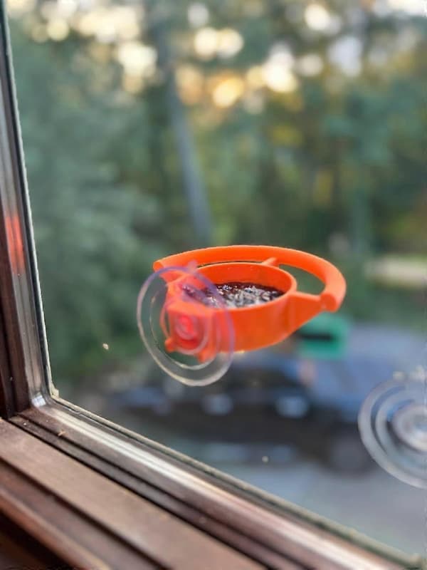 Fuglefoderhus Vindues sugekopholder til frø, gelé eller fuglefoder udendørs, klart udsyn udendørs fuglefoderhus til vindueskigning 2PCS